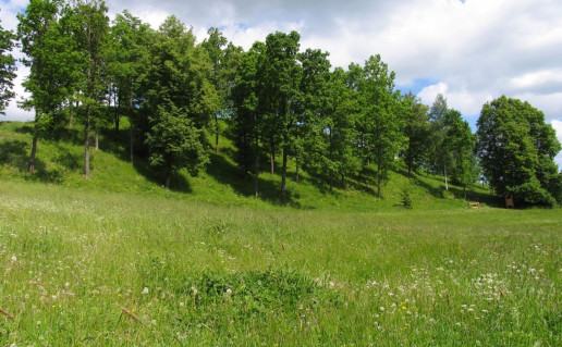 6_Dabravolės piliakalnis.jpg